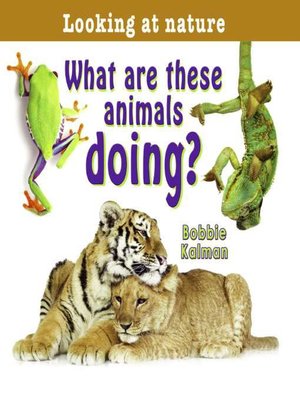 cover image of What Are These Animals Doing?